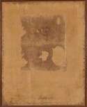 Disegno